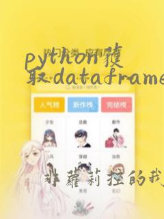 python获取dataframe行数