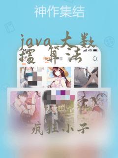 java 大数据 算法