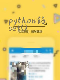 python的set()