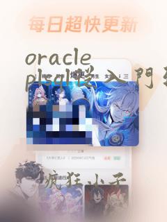 oracle plsql从入门到精通 pdf
