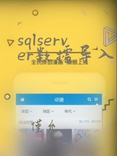 sqlserver数据导入到oracle