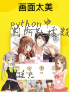 python中判断数据类型