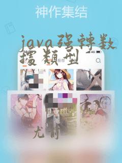 java强转数据类型