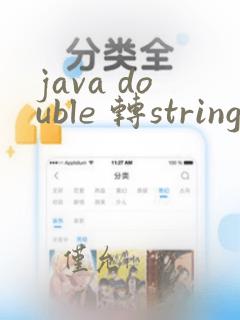 java double 转string