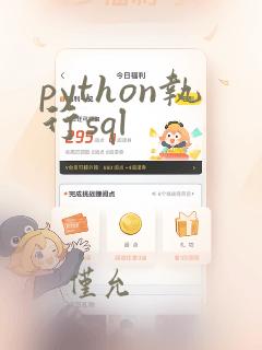 python执行sql