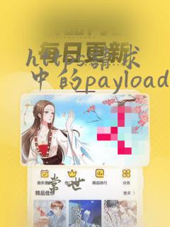 https请求中的payload