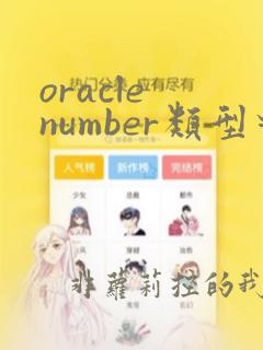 oracle number类型对应java