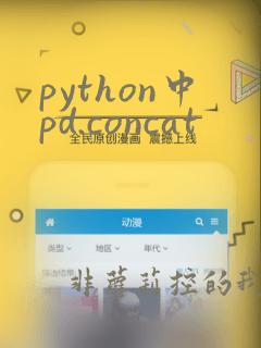 python中pd.concat