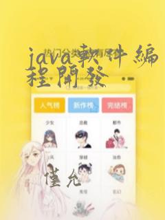 java软件编程开发