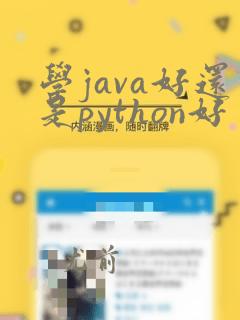 学java好还是python好