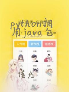 python调用java包