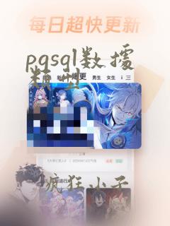 pgsql数据类型