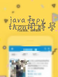 java和python同时学