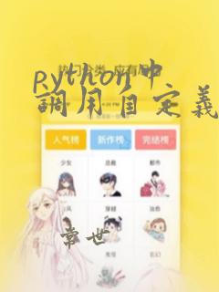 python中调用自定义函数