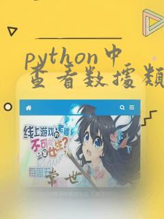 python中查看数据类型