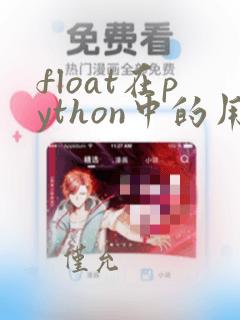 float在python中的用法