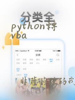 python转vba