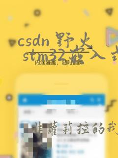 csdn 野火 stm32嵌入式开发大作业