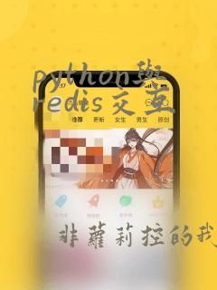 python与redis交互
