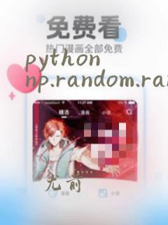 python np.random.randint
