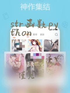 str函数python