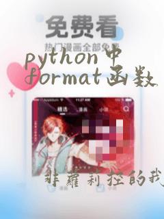 python中format函数