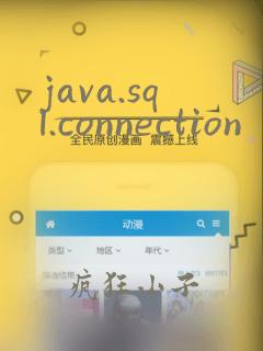 java.sql.connection