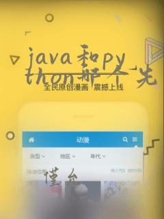 java和python哪个先学