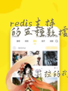 redis支持的五种数据类型