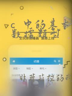 c  中的基本数据类型