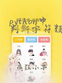 python中判断字符类型