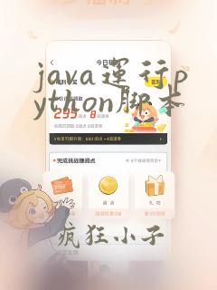 java运行python脚本