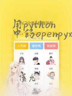 用python中的openpyxl处理excel数据
