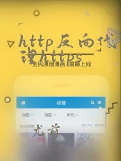 http反向代理https