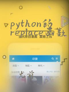 python的replace函数