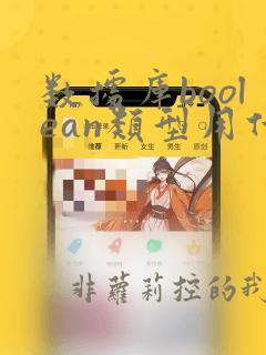 数据库boolean类型用什么表示