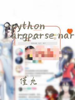 python argparse nargs