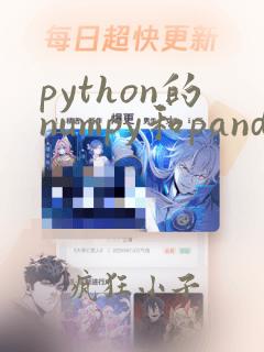 python的numpy和pandas的功能区别