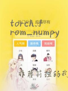 torch.from_numpy
