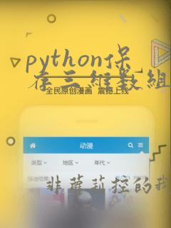 python保存三维数组到文件
