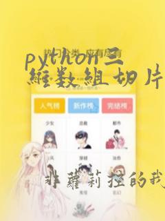 python三维数组切片