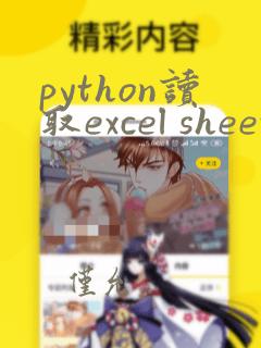 python读取excel sheet