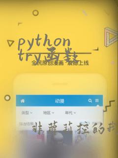 python try函数