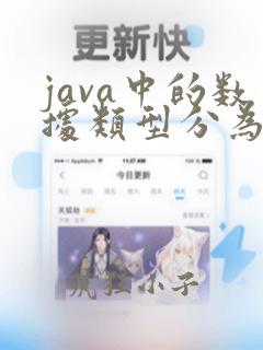 java中的数据类型分为两大类