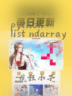 python list ndarray