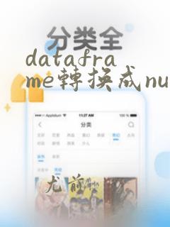 dataframe转换成numpy