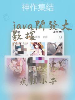 java开发大数据
