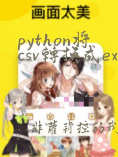 python将csv转换成excel