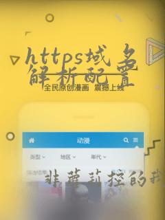 https域名解析配置