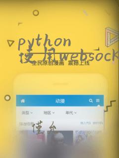 python 使用websocket